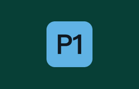 P1 ikona