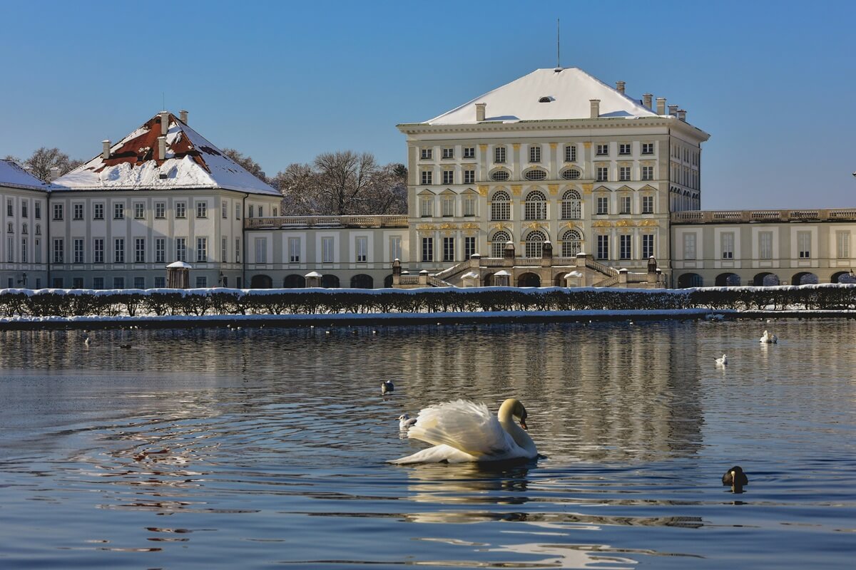 Vēsturiska pils pie ūdens un balts gulbis ūdenī