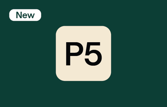 RIX long-term parking P5 icon