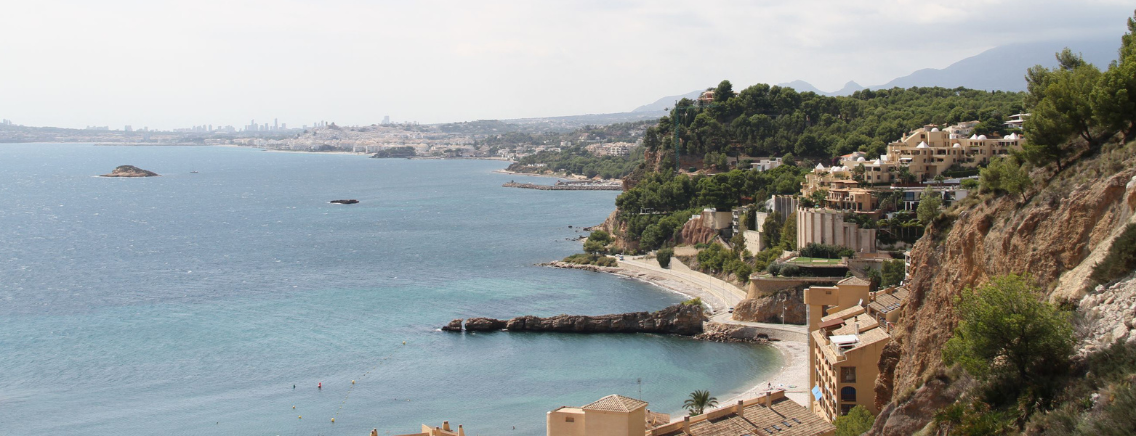banner-image