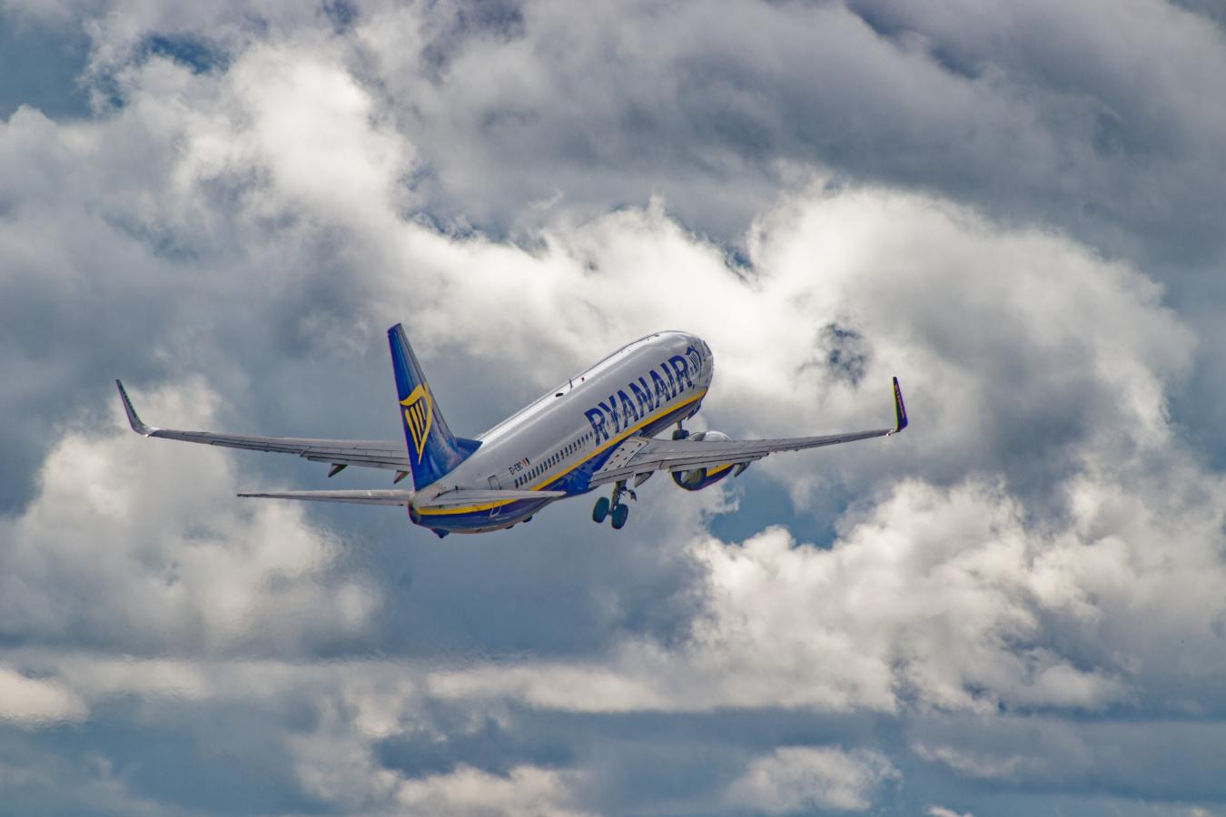 banner-image