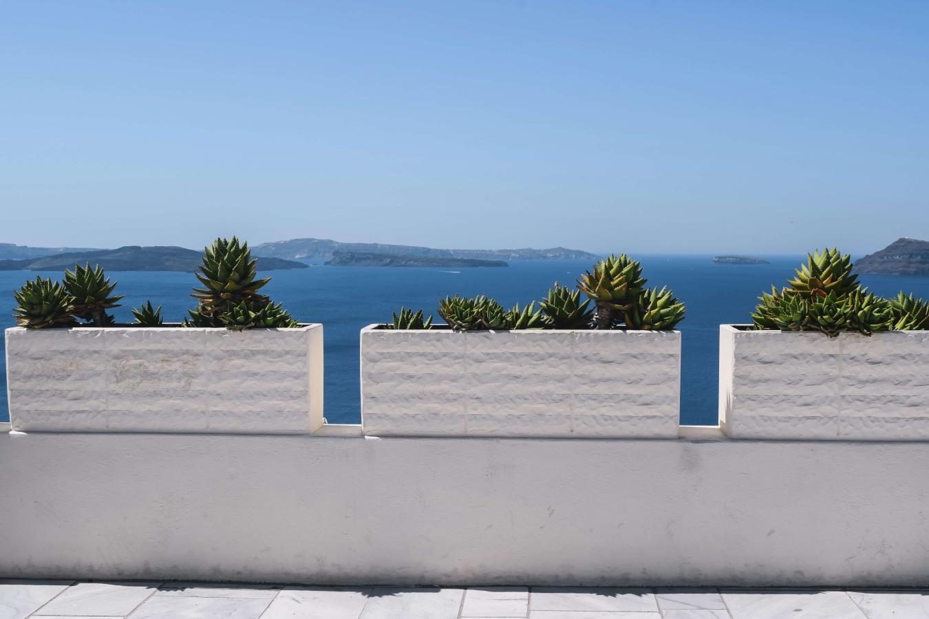 banner-image