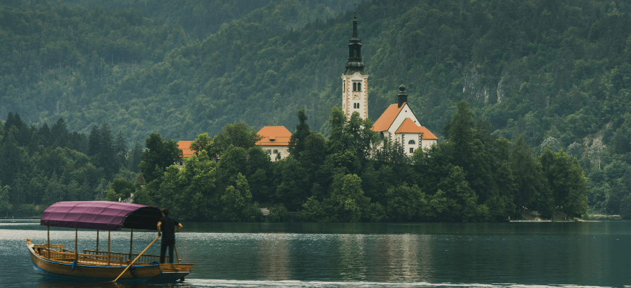 banner-image